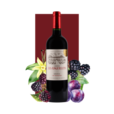 Château Les Anguilleys Médoc 2016 750 ml