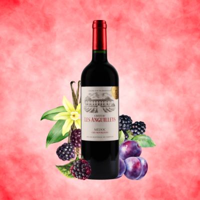 Château Les Anguilleys Médoc 750ml
