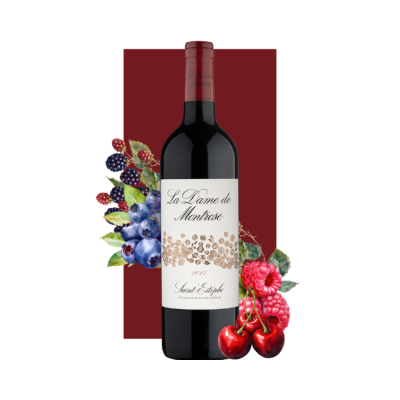 Chateau Montrose Saint-Estèphe Grand Cru Classé 2017 750ml