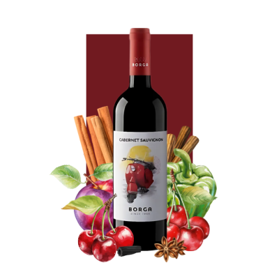 Borga Cabernet Sauvignon 750ml