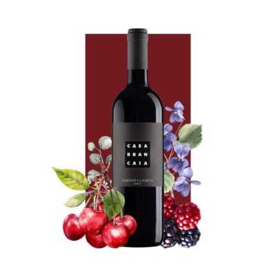 Brancaia Chianti Classico DOCG 2020 750ml