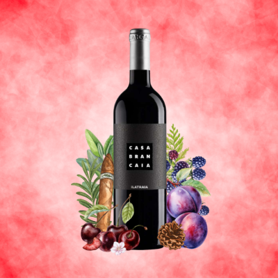 Brancaia "ILATRAIA" Toscana Rosso IGT 750ml