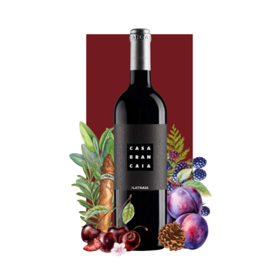 Brancaia ILATRAIA Toscana Rosso IGT 750ml