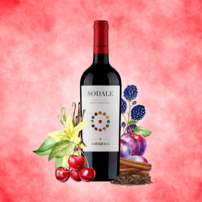 Sodale Merlot Lazio IGP 750ml