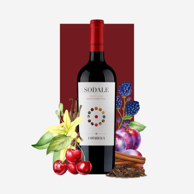 Famiglia Cotarella Sodale Merlot Lazio IGP 2018 750ml