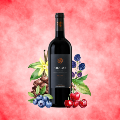 Fattoria Aldobrandesca "Vie Cave" Malbec Toscana IGT 750ml