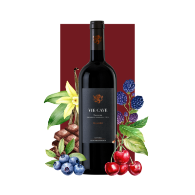 Fattoria Aldobrandesca Vie Cave Malbec Toscana IGT 2018 750ml