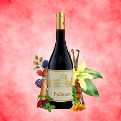 Il Pollenza Rosso Marche IGT 750ml