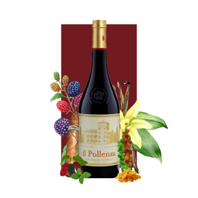 Il Pollenza Rosso Marche IGT 750ml