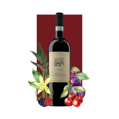 La Spinetta Barbera d'Alba Gallina DOC 2017 750ml