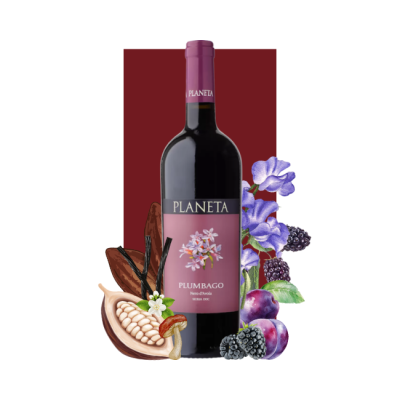 Planeta Plumbago Nero d'Avola Sicilia DOC 2019 750ml