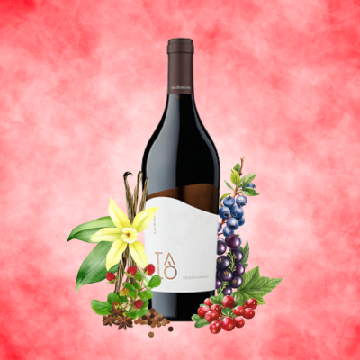 San Marzano "Talò" Negroamaro Salento IGP 750ml