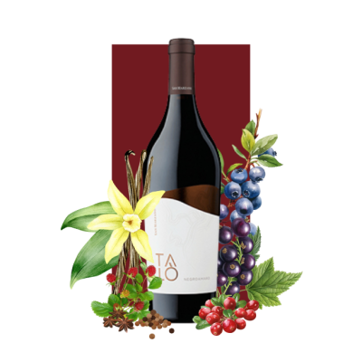 Cantine San Marzano Talò Negroamaro Salento IGP 2022 750ml