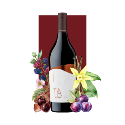 Cantine San Marzano Talò Primitivo Merlot Salento IGP 2023 750ml