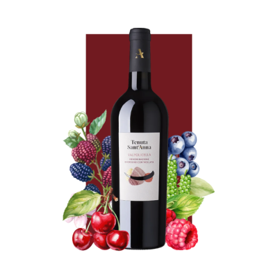 Tenuta Sant'Anna Cabernet Sauvignon Venezia DOC 750ml