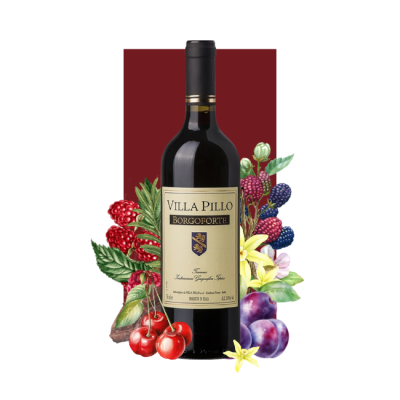 Villa Pillo Borgoforte Toscana Rosso IGT 2014 750ml
