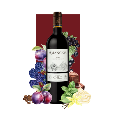 Amancaya Malbec - Cabernet Sauvignon Gran Reserva 2018 750ml