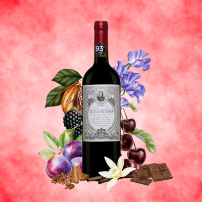 Dv Catena Tinti Historico 2020