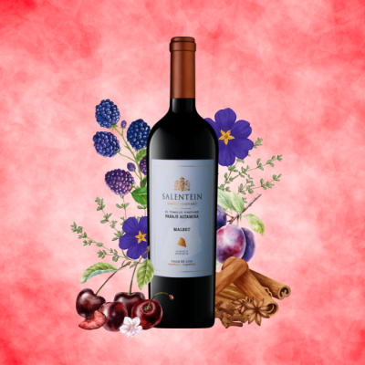 Finca El Tomillo Single Vineyard Malbec