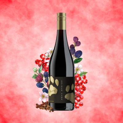 Golden Paws Shiraz