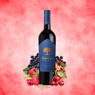 Arboleda "Brisa" Aconcagua Valley 750ml