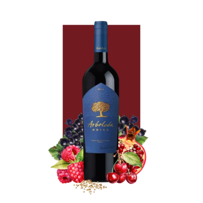 Arboleda "Brisa" Aconcagua Valley 2018 750 ml