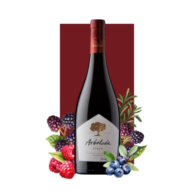 Arboleda Syrah 750 ml