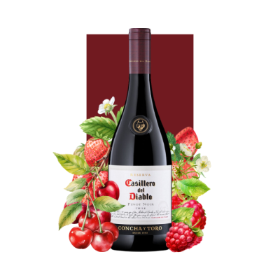 Casillero del Diablo Reserva Pinot Noir 750 ml