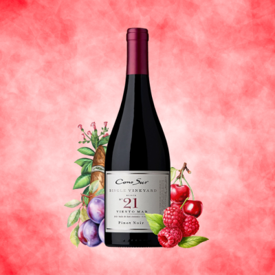 Cono Sur Single Vineyard Pinot Noir 750ml (Block No. 21)