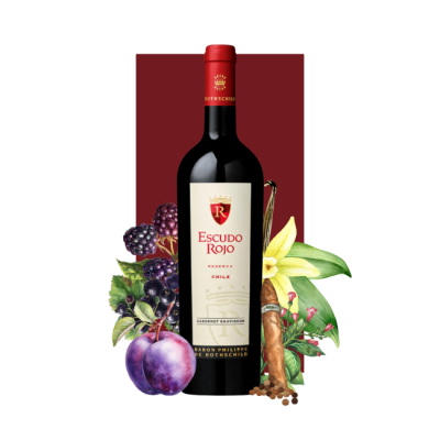 Escudo Rojo Reserva Cabernet Sauvignon 750 ml