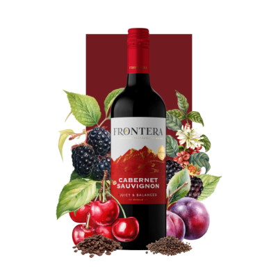 Frontera Cabernet Sauvignon 750 ml