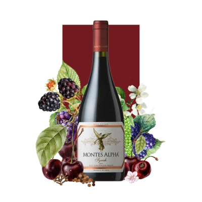 Montes Alpha Syrah 750 ml