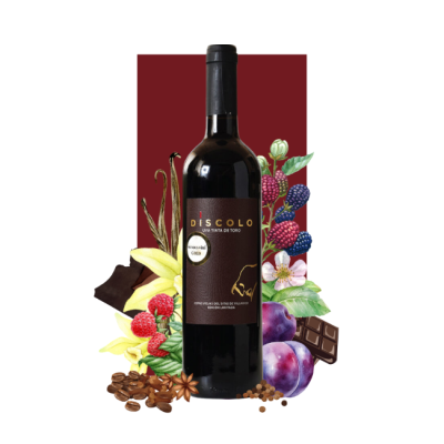 Cuatro Mil Cepas Díscolo Uva Tinta de Toro 2017 750ml