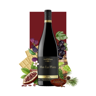 Torres Mas La Plana Cabernet Sauvignon 2013 750ml