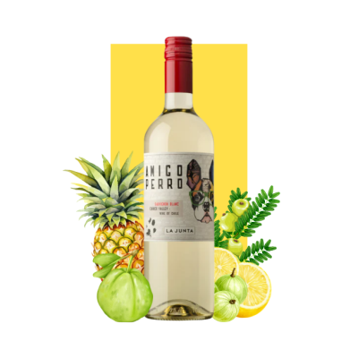 Amigo Perro Sauvignon Blanc 750ml