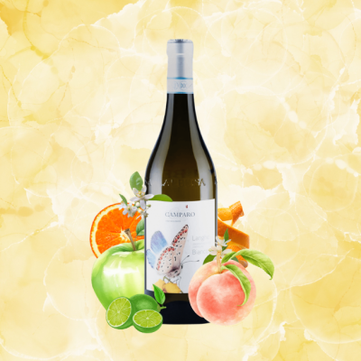 Camparo Langhe Bianco DOC 750ml