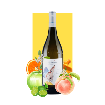 Camparo Langhe Bianco DOC 2019 750ml