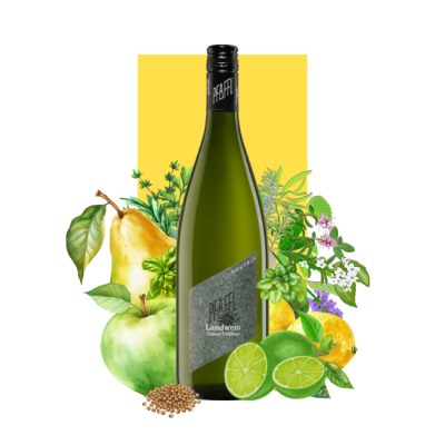VomHaus Landwein Grüner Veltliner 1L