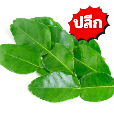 ใบมะกรูด ปลีก