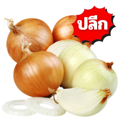 หอมใหญ่ ปลีก