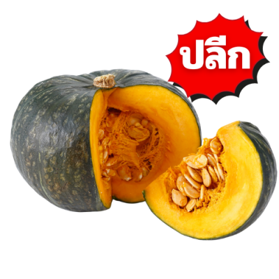 ฟักทอง ปลีก