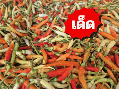 พริกเหลืองพัทลุง เด็ด