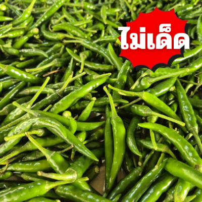 พริกจินดาเขียว ไม่เด็ด