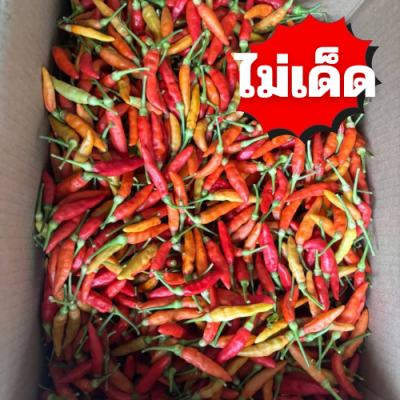 พริกกระเหรี่ยง ไม่เด็ด