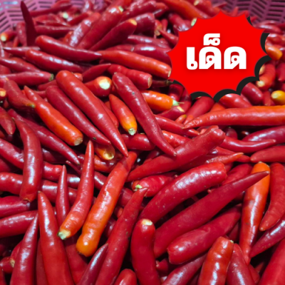 พริกจินดาแดง เด็ด