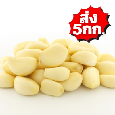 กระเทียมปอก ส่ง 5กก.