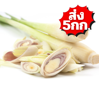 ตะไคร้ ส่ง 5กก.