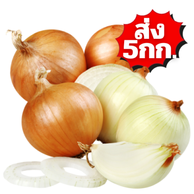 หอมใหญ่ ส่ง 5กก.