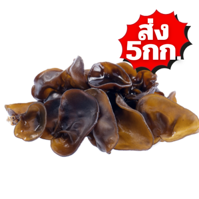 เห็ดหูหนู ส่ง 5กก.