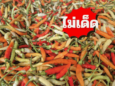 พริกเหลืองพัทลุง ไม่เด็ด